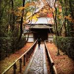 【京都紅葉】散もみじの侘び寂び感！大徳寺塔頭「高桐院」