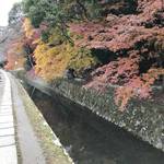 【京都紅葉】桜やもみじだけじゃない！一際真っ赤な紅葉が疏水を彩る☆「哲学の道」