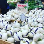 【京都市場めぐり】京都最大級の直売所！冬の京野菜も割安で豊富☆「ファーマーズマーケットたわわ朝霧」