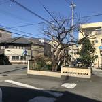 【あなたの知らない京都】駐車場の不思議モダンスペース！かつては名水も湧く円町ゆかりの井戸「壺井」