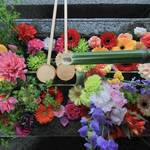 【京都花めぐり】カラフルな花手水に癒される　東福寺塔頭「勝林寺」