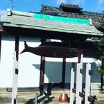 【京都お寺めぐり】伊達政宗や伊藤若冲ゆかりの穴場的黄檗宗寺院！『普茶料理』もいただける☆「海宝寺」