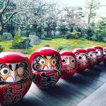 【京都節分祭めぐり】境内はだるま！だるま！だるま！だるま焼きも必食☆「法輪寺（達磨寺）」