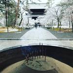 【京都お寺めぐり】京都屈指の観光名所冬らしい景色ようやく☆雪化粧の水路閣も☆「南禅寺」