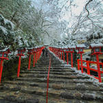 【雪の京都】京の奥座敷「貴船神社」は自然豊かで雪国のようでした。