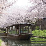とっておきの京都の桜【伏見ver】映画の舞台にもなったお花見スポットも！