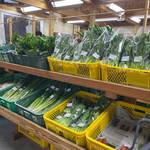日曜日は早起きして大原へ行こう！新鮮野菜を手に入れる、里の駅大原の朝市