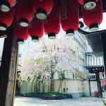 【2020京都桜風景】知る人ぞ知る枝垂桜！釘抜きの珍絵馬！！苦しみを開放するお地蔵☆石像寺「釘抜地蔵」