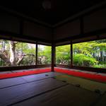【京の写真旅】大原宝泉院の春　～おうちで京都旅行気分～
