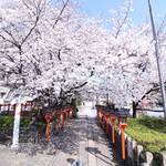 【京の写真旅】六孫王神社の春～おうちで京都旅行気分～