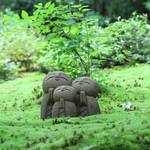 【京の写真旅】洛北詩仙堂の春〜おうちで京都旅行気分〜【一乗寺エリア】