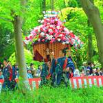 【京の写真旅】新緑の中、いにしえの伝統を伝える時代行列「葵祭」
