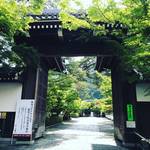 【2020京都最新】紅葉の名所『永観堂』は青もみじの名所でもあり！初夏の風薫る静寂の緑☆