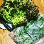 【京都産直めぐり】広沢池スグの風光明媚な農場！鮮度抜群の野菜そろう北嵯峨の直売所☆