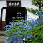 【特別拝観】新庭園「鶴鳴九皐」が完成、甘茶庭に癒される「建仁寺霊源院」【京都花めぐり】