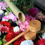 【京都花めぐり】6月は毎週花手水が楽しめます♪東福寺塔頭勝林寺【癒し】