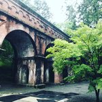 【京都朝活】非常事態宣言解除でようやく再開！コロナ対策徹底の早朝座禅会「南禅寺」