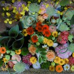 【6月限定】斬新で美しい花手水に癒される「北野天満宮」【京都花めぐり】