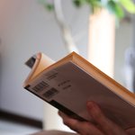 ”時代が求める”癒し系カフェ「CAFE BOOKS WAKUSEI（カフェ ブックス ワクセイ）」オープン【京都北山】