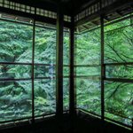 【癒しの庭園】今なお美しい緑の世界、青もみじの季「瑠璃光院」