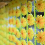 約800個の風鈴とかざぐるまに癒される「水無瀬神宮」