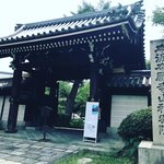 【京都お寺めぐり】本願寺中興の祖・蓮如上人ゆかり☆山科本願寺再興の『お西さん』「本願寺山科別院」