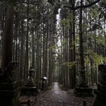まるで異世界への入口！京都の穴場パワースポット「賀茂神社」【京北町】
