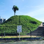 【京都古墳めぐり】目にも鮮やかな前方後円墳！春には石室の一般公開も「物集女（もずめ）車塚古墳」