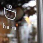 カフェの名店"efish（エフィッシュ）"を受け継いでオープン「ha ra（ハラ）」【出町柳】