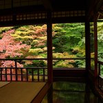 【秋の拝観】例年大行列の「瑠璃光院」は予約制に！要チェックです♪