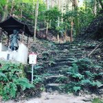 【京都史跡めぐり】NHK大河ドラマ『麒麟がくる』で注目スポット☆明智光秀改修の城郭「将軍山城跡」