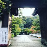 【2020京都紅葉最新】うっすら色づき始める紅葉名所をパトロール☆南禅寺～永観堂