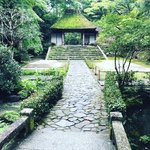 【2020京都紅葉最新】静寂に包まれた名所☆注目の砂絵『白砂壇』は秋の装い「鹿ケ谷法然院」