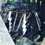 【京都神社めぐり】祇園祭ゆかりの通称『元祇園社』☆季節の御朱印バリエーション豊富「梛神社」