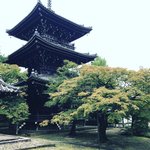 【2020京都紅葉最新】昨年のJR東海『そうだ京都、行こう。』で注目☆色づき開始「真如堂」
