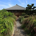 【京都花めぐり】境内を埋めつくす萩が魅力『萩の寺　常林寺』