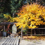 【御所東】萩の名所『梨木神社』にはあの人の歌碑がある！