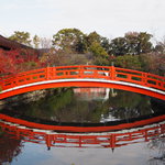 お花見発祥の地『神泉苑』は紅葉も最高【二条】