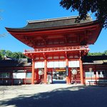 【2020京都紅葉最新】例年色づき進行スローの糺の森☆世界遺産「下鴨神社」