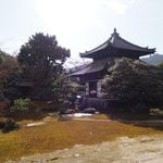 嵐山が借景！日本最古の平庭式枯山水庭園がある『鹿王院』