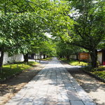【京都】醍醐さんぽで四季の絶景を味わおう