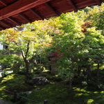 始まりは徳川家康が開いた洛陽学校。一乗寺の『圓光寺』