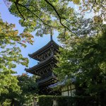 【特別拝観再開】11月1日～真如堂の本堂と庭園の拝観が再開【紅葉の名所】