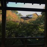 【2020紅葉最新】京都随一の名所！紅葉グラデーションの通天橋も例年より閑散「東福寺」