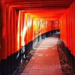 【京都神社めぐり】千本鳥居も楽勝撮影！日本を代表する観光スポット「伏見稲荷大社」