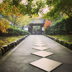 【2020京都紅葉最新】知る人ぞ知る南禅寺水路閣脇の穴場スポット「最勝院高徳庵」