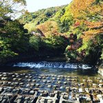 【2020京都紅葉最新】京の奥座敷！叡山電車乗り継ぎ駅前に広がる錦☆八瀬もみじの小径