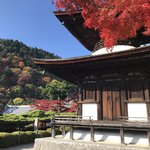 【2020京都紅葉最新】西山中腹を染める絶景錦！市内一望で見どころ満載「善峯寺」