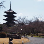 平安京の二大官寺の一つ、世界文化遺産『東寺』を散策
