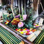 【2020京都紅葉最新】もみじ苑ライトアップも実施中！花手水も映える☆「北野天満宮」